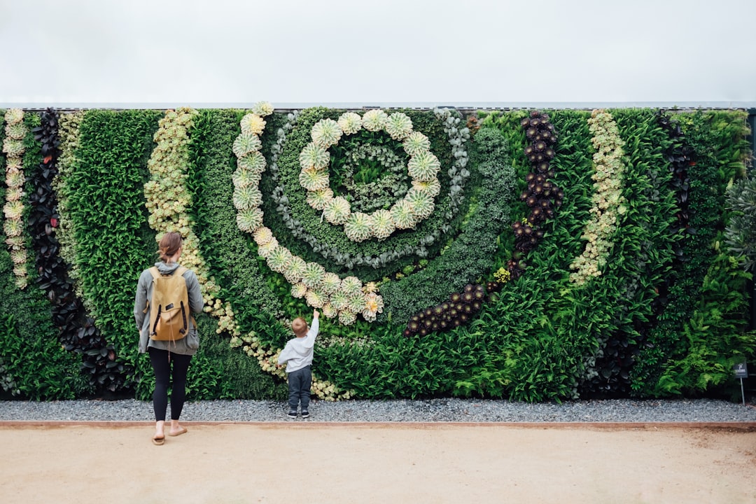 Modern Pergola with Grape Vines