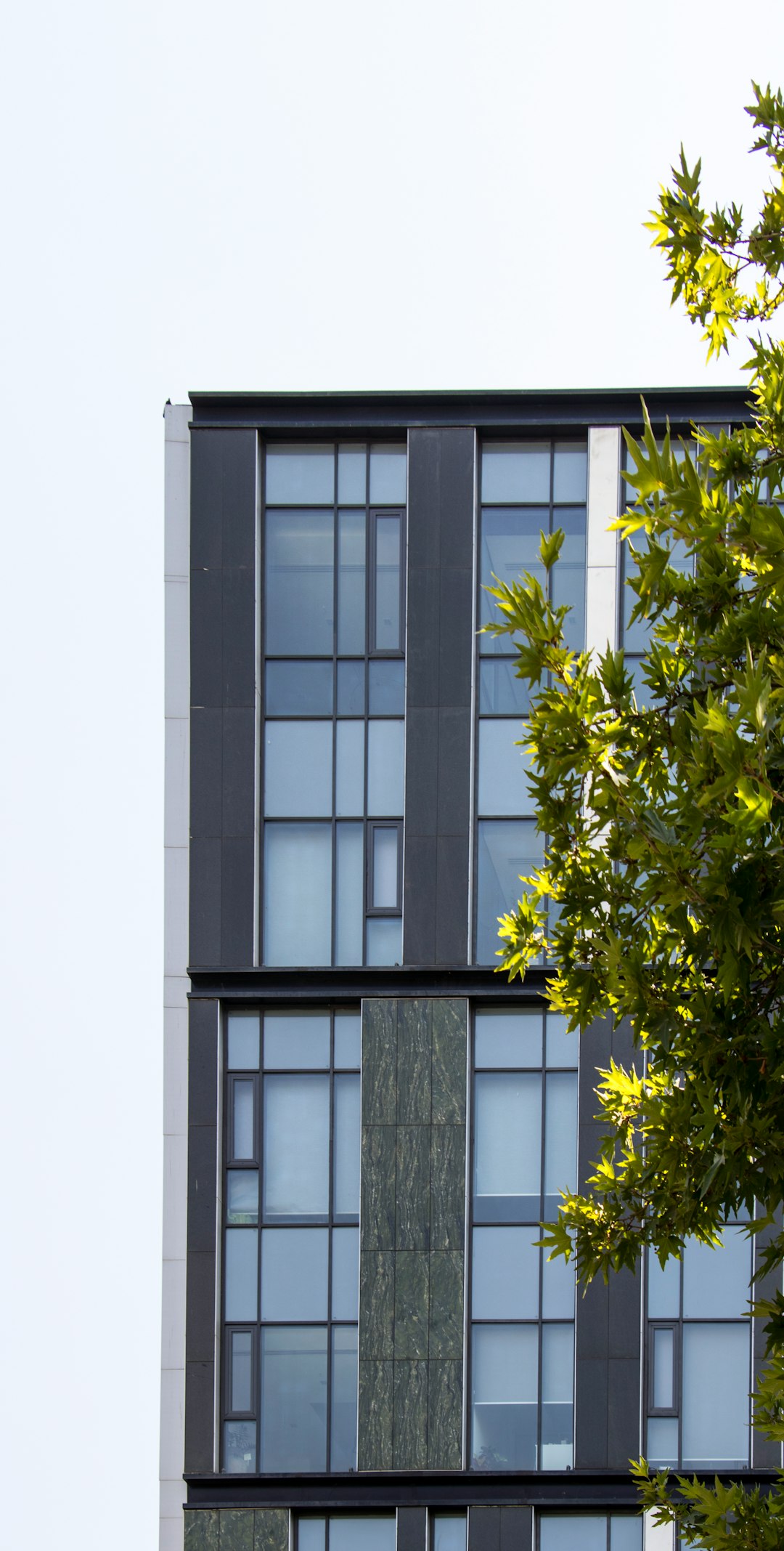 Modern Bulgarian Garden Design